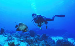 Corsi di Diving a Playa del Carmen