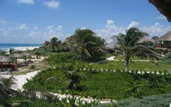 Cabañas Los Lirios Hotel - Tulum