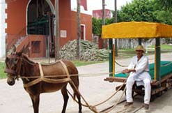 Mezzi di trasporto in Messico